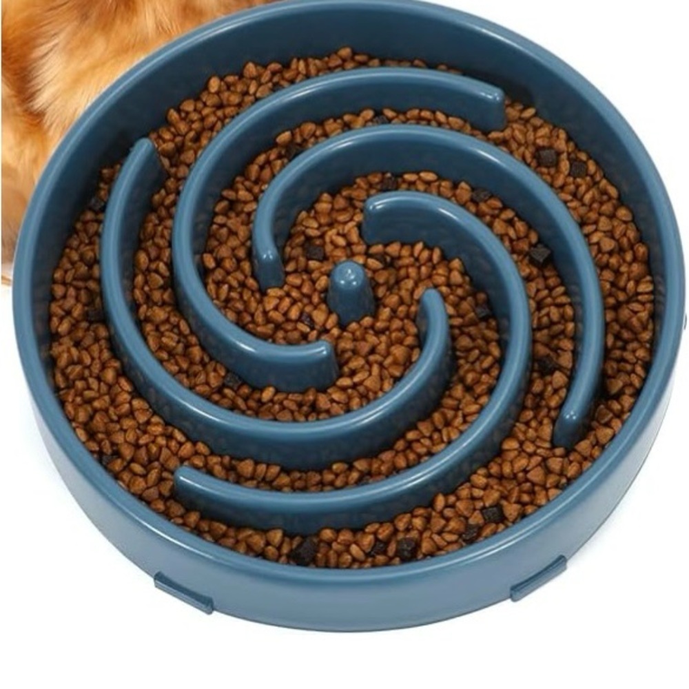 Interactive Blue Cat Slow Feeder Bowl